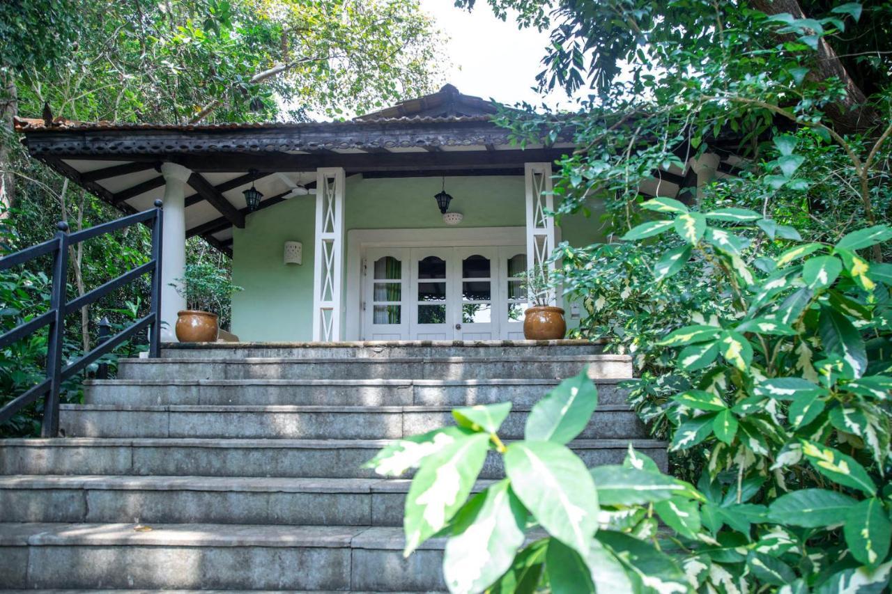 Wildflower Villas - All Villa Hotel, Family Run Candolim Bagian luar foto