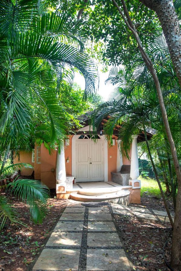 Wildflower Villas - All Villa Hotel, Family Run Candolim Bagian luar foto