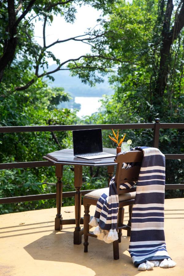 Wildflower Villas - All Villa Hotel, Family Run Candolim Bagian luar foto