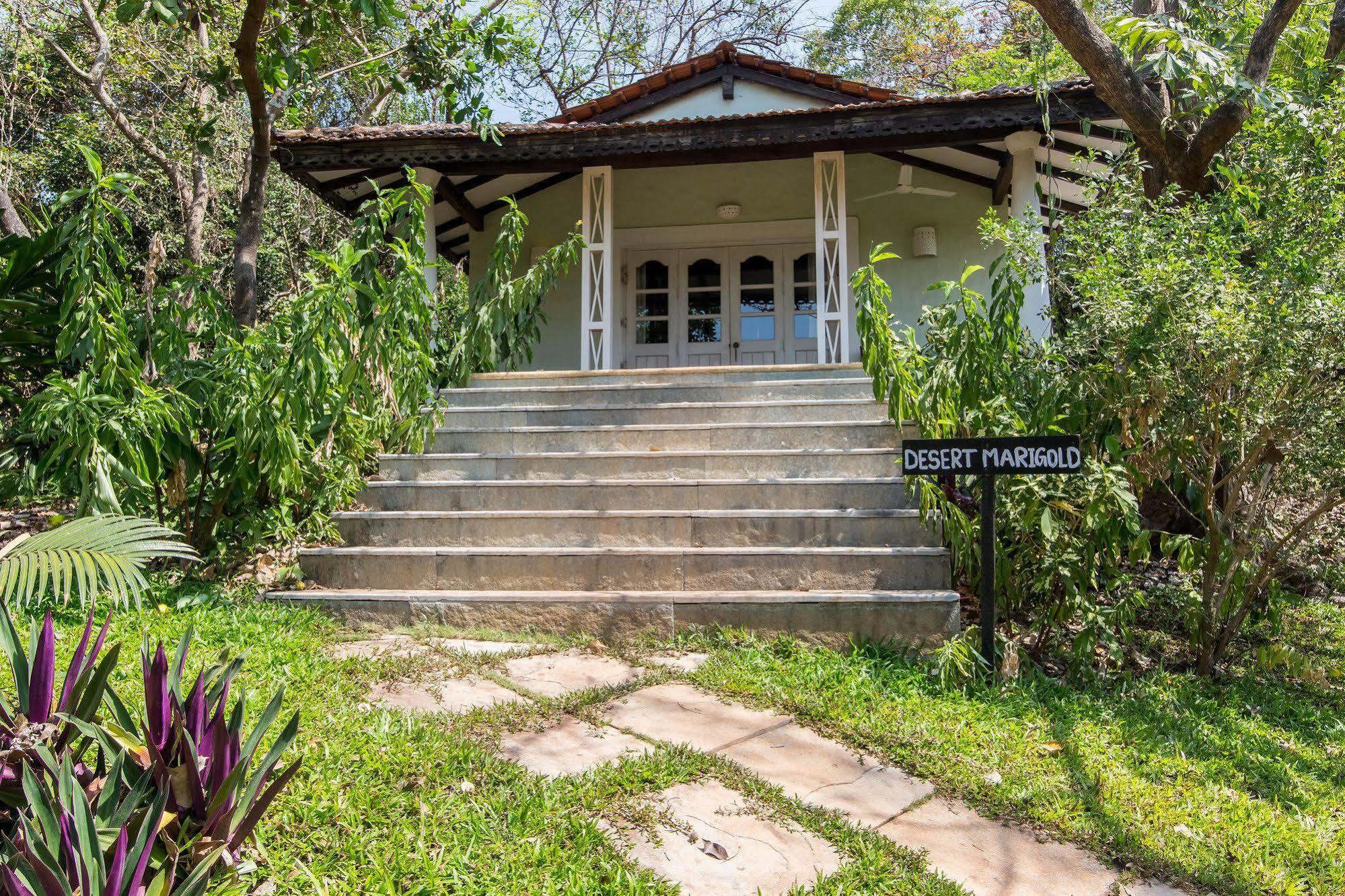 Wildflower Villas - All Villa Hotel, Family Run Candolim Bagian luar foto